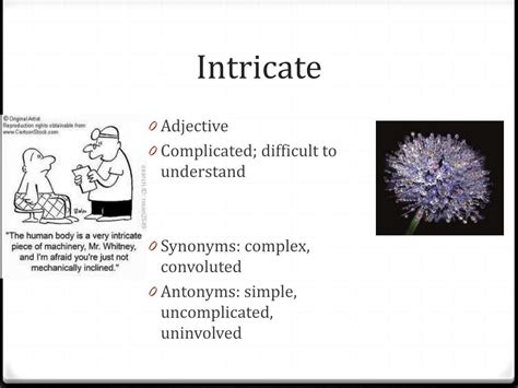 what does intricate mean.